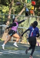 Dolphins se llevó la victoria ante Panteras_5