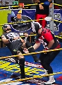 Hermanos Calaveras Jr. del CMLL se adueñan del Deportivo Roma_1