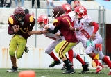 Osos se coronó en la Bantam _33